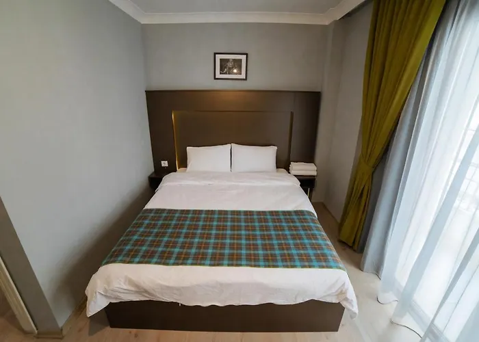 Otto Loft Premium אנקרה