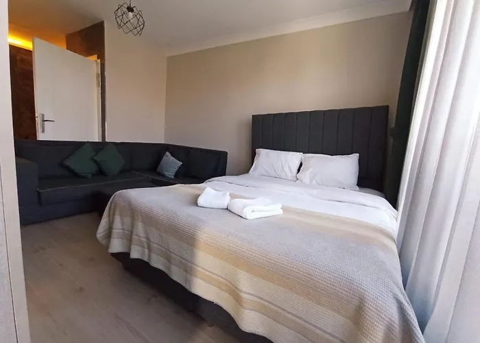 Otto Loft Premium מלון 3*